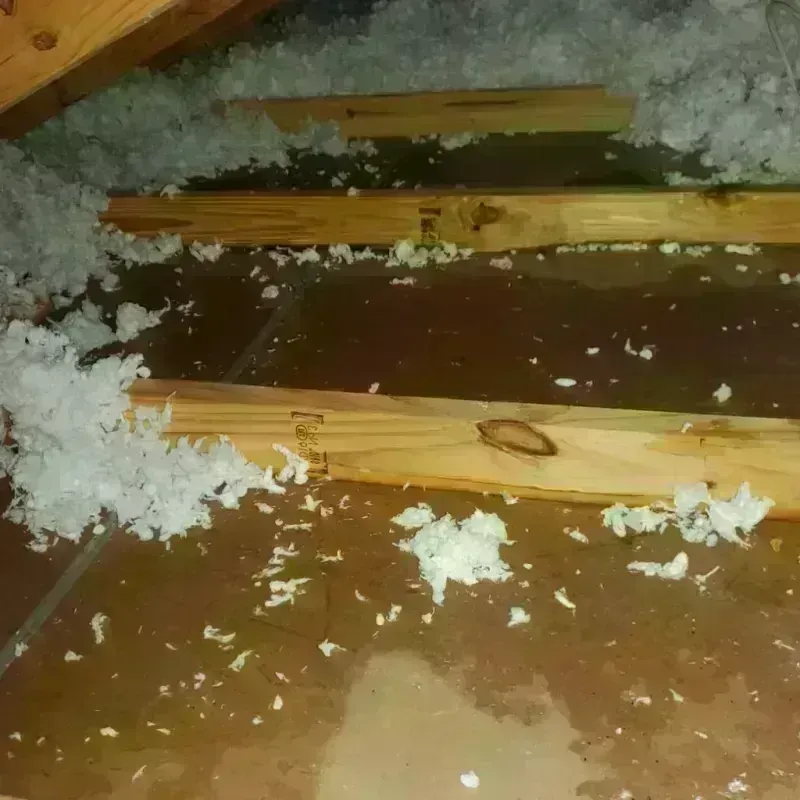 Attic Water Damage in Galateo, PR